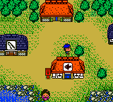 Legend of the River King GB (Germany) In game screenshot